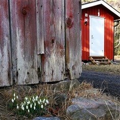 2017-03-02 Foto: Nilla Söderqvist